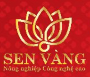 Trang Trại Hữu Cơ Sen Vàng